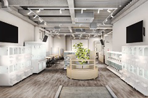 展示